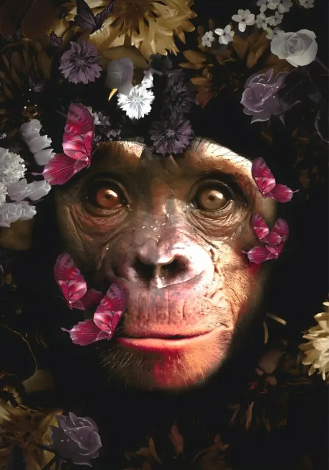 150x100 / 120x80 / 90x60cm - Exclusive - KRUGER - Planet of the Apes - Glasschilderij - meubelboutique.nl