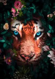 150x100 / 120x80 / 90x60cm - Exclusive - KRUGER - Tijger Alfie - Glasschilderij - meubelboutique.nl