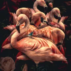 glasschilderij-flamingo-verticaal